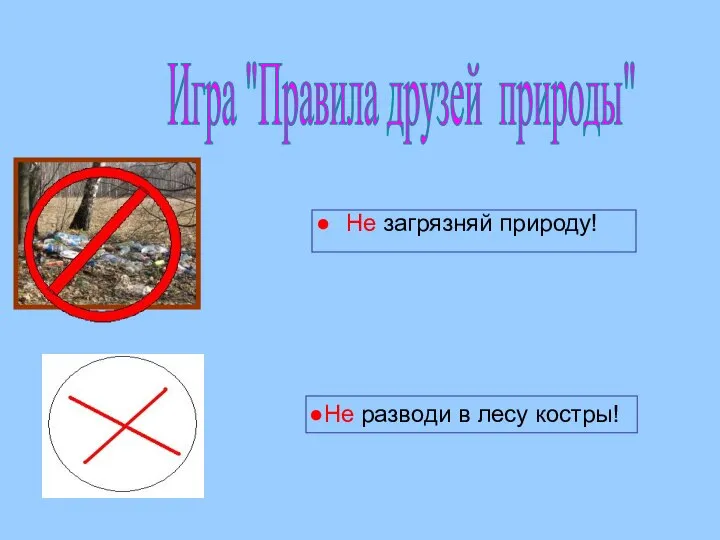 Не загрязняй природу! Игра "Правила друзей природы" Не разводи в лесу костры!