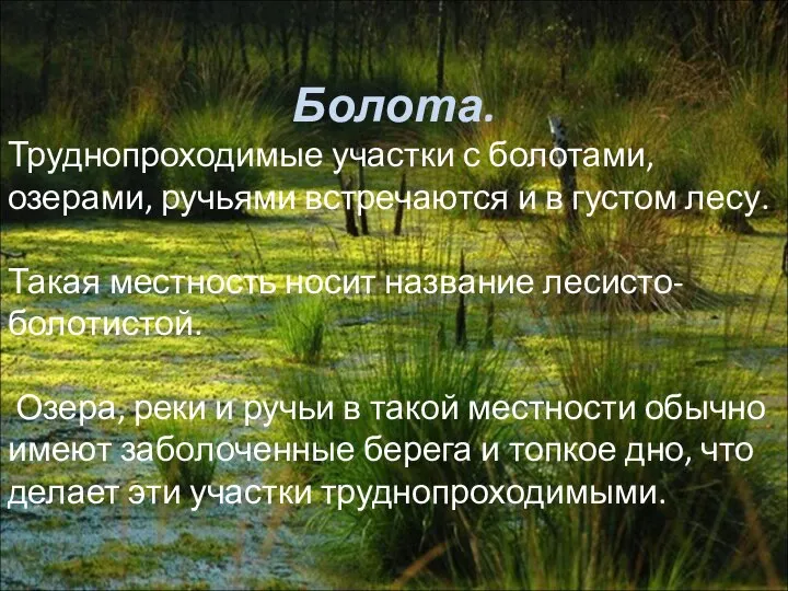 Болота. Труднопроходимые участки с болотами, озерами, ручьями встречаются и в густом лесу.