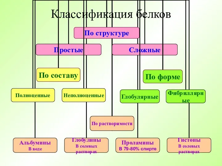 Классификация белков