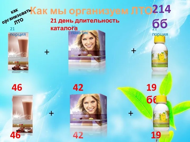 Как мы организуем ЛТО? 46 бб + 42 бб + 19 бб