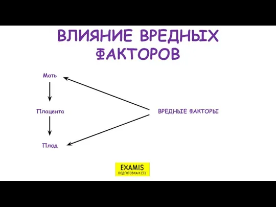 ВЛИЯНИЕ ВРЕДНЫХ ФАКТОРОВ Мать Плацента Плод ВРЕДНЫЕ ФАКТОРЫ