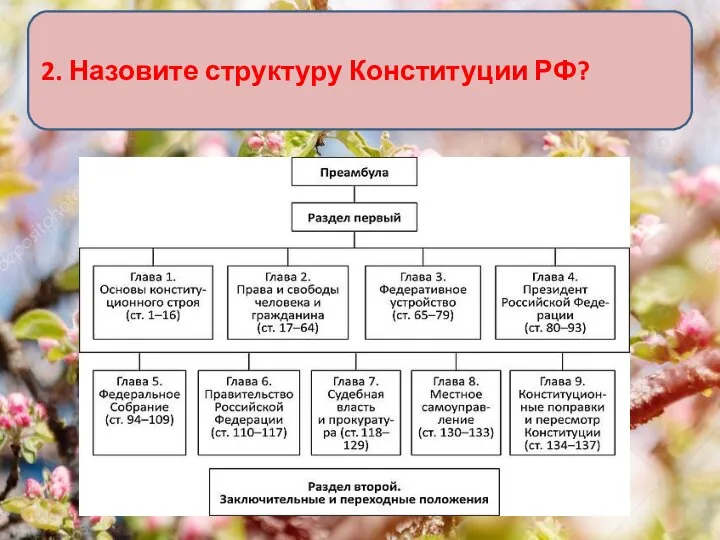 2. Назовите структуру Конституции РФ?