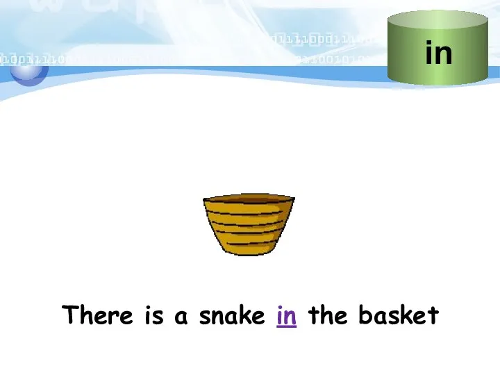 There is a snake in the basket