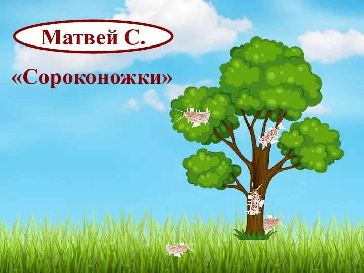 Матвей С. «Сороконожки»