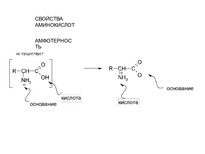 СВОЙСТВА АМИНОКИСЛОТ АМФОТЕРНОСТЬ