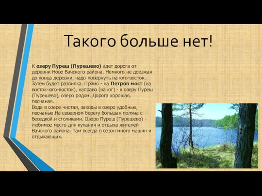 К озеру Пуреш (Пурешево) идет дорога от деревни Ново Вачского района. Немного