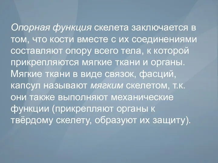 Опорная функция скелета заключается в том, что кости вместе с их соединениями