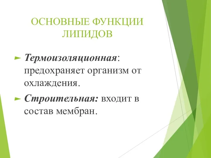 ОСНОВНЫЕ ФУНКЦИИ ЛИПИДОВ Термоизоляционная: предохраняет организм от охлаждения. Строительная: входит в состав мембран.