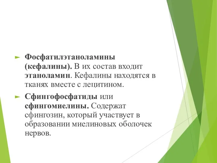 Фосфатилэтаноламины (кефалины). В их состав входит этаноламин. Кефалины находятся в тканях вместе