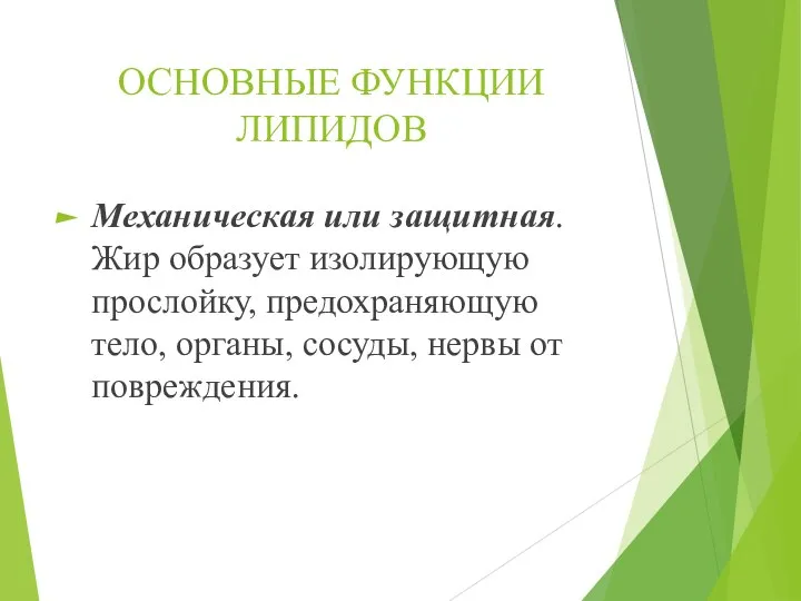 ОСНОВНЫЕ ФУНКЦИИ ЛИПИДОВ Механическая или защитная. Жир образует изолирующую прослойку, предохраняющую тело,