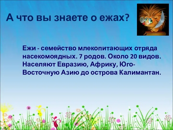 А что вы знаете о ежах? Ежи - семейство млекопитающих отряда насекомоядных.