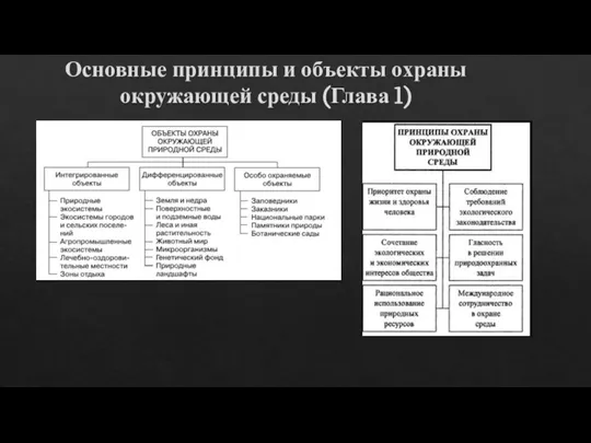 Основные принципы и объекты охраны окружающей среды (Глава 1)