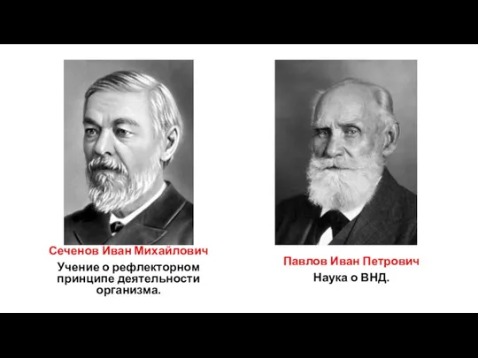 Сеченов Иван Михайлович Учение о рефлекторном принципе деятельности организма. Павлов Иван Петрович Наука о ВНД.