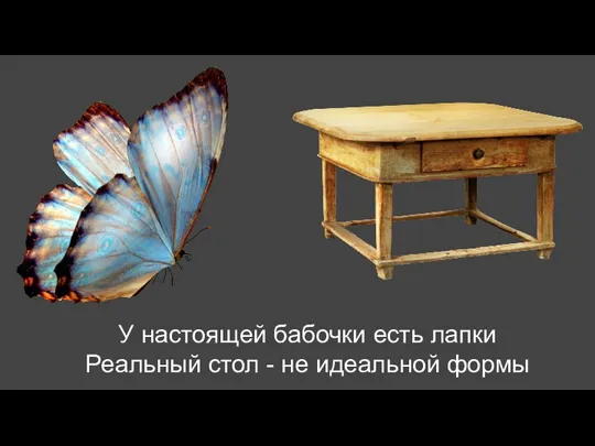 У настоящей бабочки есть лапки Реальный стол - не идеальной формы