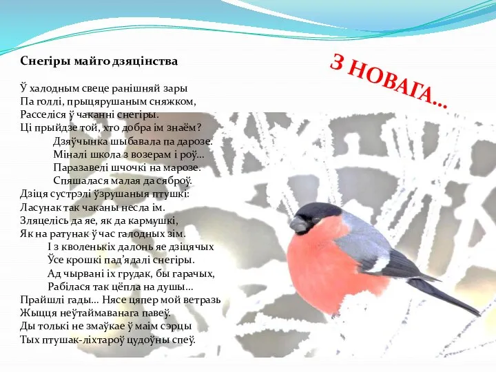 Снегіры майго дзяцінства Ў халодным свеце ранішняй зары Па голлі, прыцярушаным сняжком,