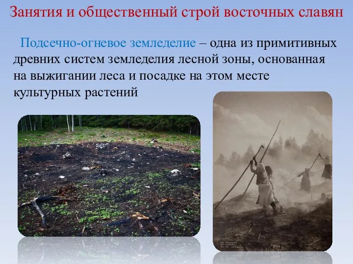 Занятия и общественный строй восточных славян Подсечно-огневое земледелие – одна из примитивных