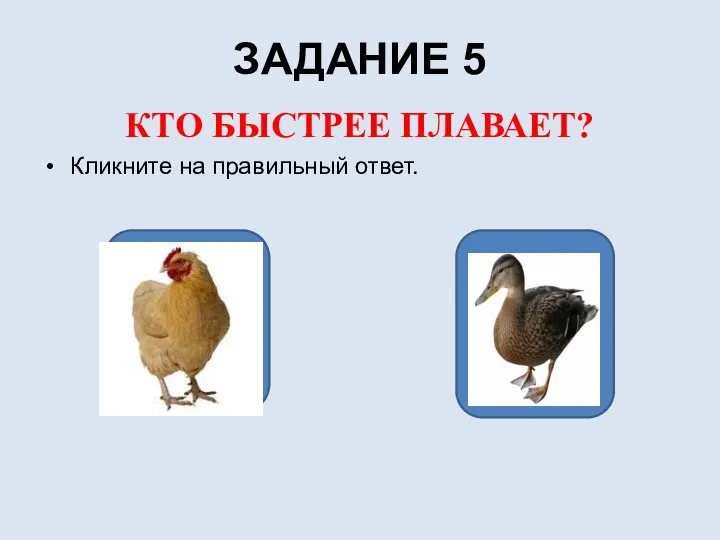 ЗАДАНИЕ 5 КТО БЫСТРЕЕ ПЛАВАЕТ? Кликните на правильный ответ. ДА НЕТ