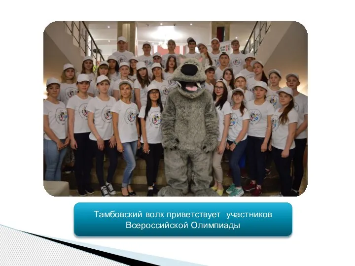 Тамбовский волк приветствует участников Всероссийской Олимпиады