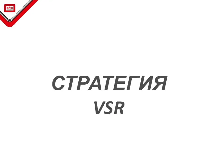 СТРАТЕГИЯ VSR