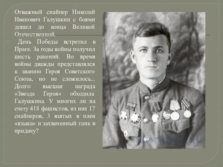 Отважный снайпер Николай Иванович Галушкин с боями дошел до конца Великой Отечественной.