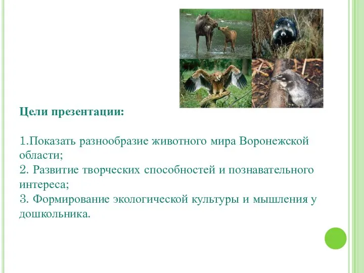 Цели презентации: 1.Показать разнообразие животного мира Воронежской области; 2. Развитие творческих способностей