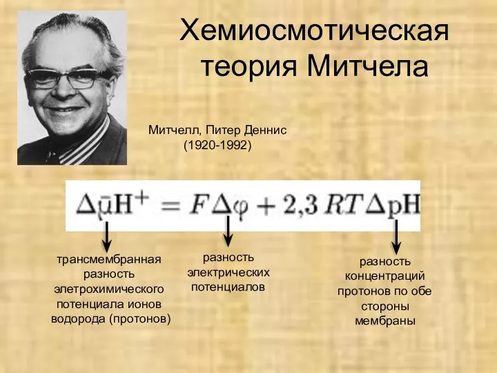 Хемиосмотическая теория Митчела Митчелл, Питер Деннис (1920-1992)