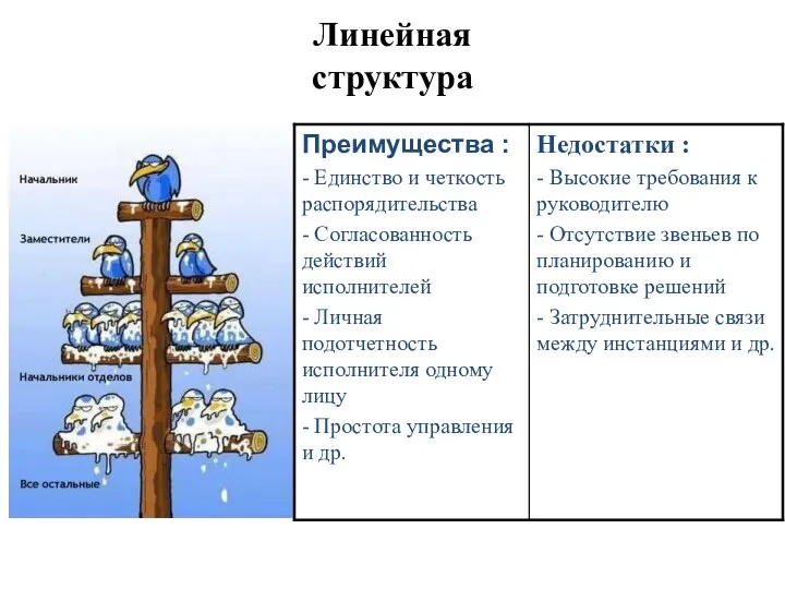 Линейная структура