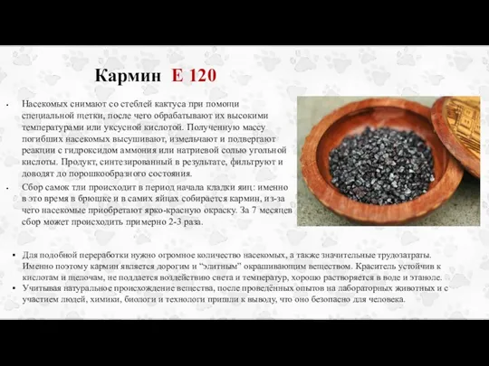 Кармин Е 120 Насекомых снимают со стеблей кактуса при помощи специальной щетки,