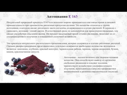 Антоцианин Е 163 Натуральный природный краситель Е163 или антоциан широко применяется в