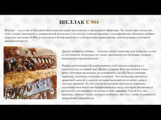 ШЕЛЛАК Е 904 Шеллак – это слово у большинства людей вызывает ассоциации