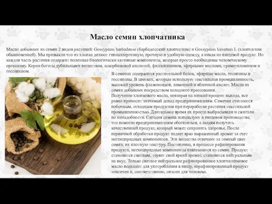 Масло семян хлопчатника Масло добывают из семян 2 видов растений: Gossypium barbadense