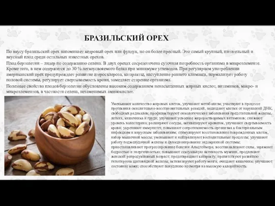 БРАЗИЛЬСКИЙ ОРЕХ По вкусу бразильский орех напоминает кедровый орех или фундук, но