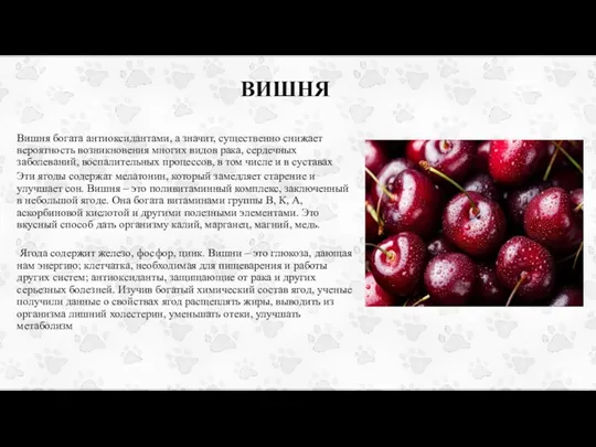 ВИШНЯ Вишня богата антиоксидантами, а значит, существенно снижает вероятность возникновения многих видов