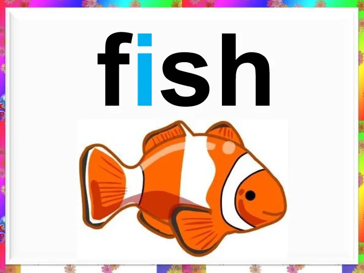 fish