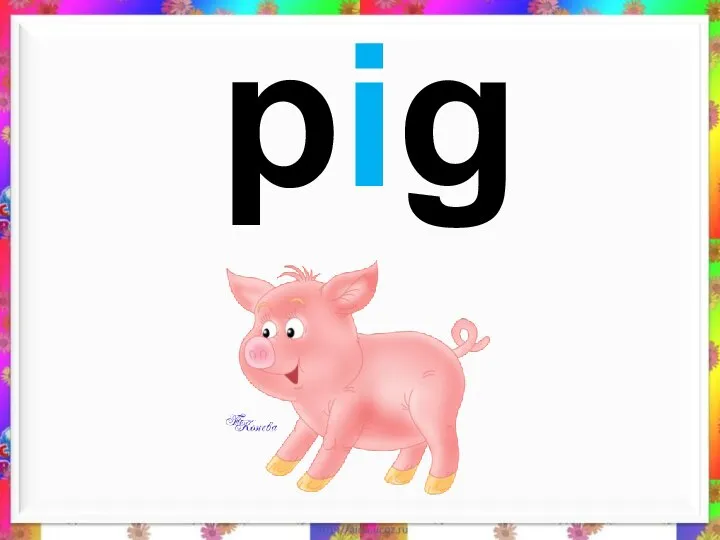 pig