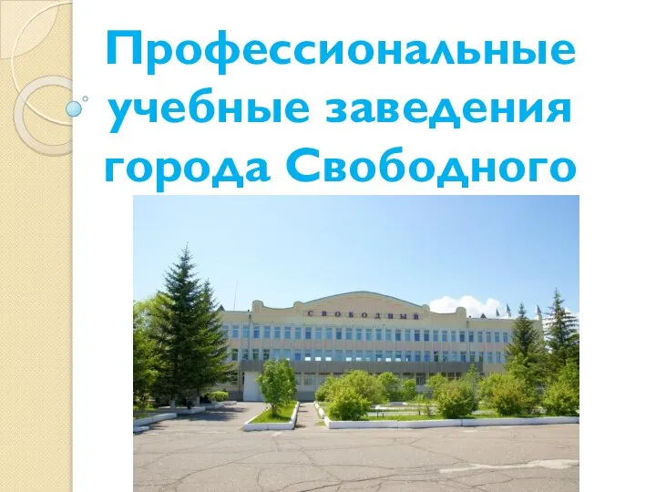 Профессиональные учебные заведения города Свободного