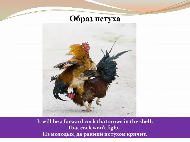Образ петуха It will be a forward cock that crows in the