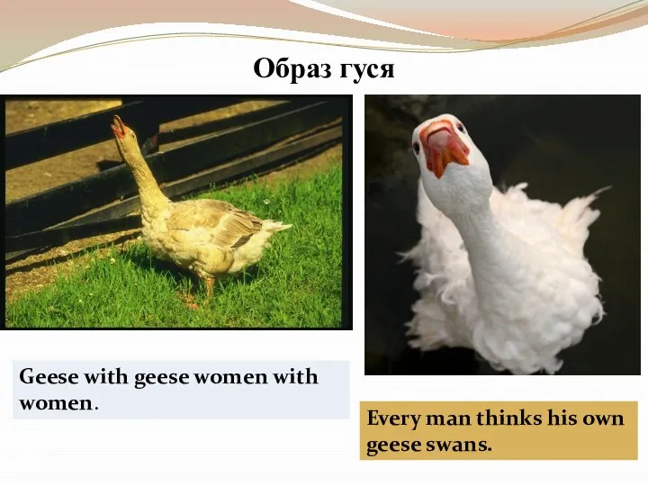 Образ гуся Geese with geese women with women. Every man thinks his own geese swans.