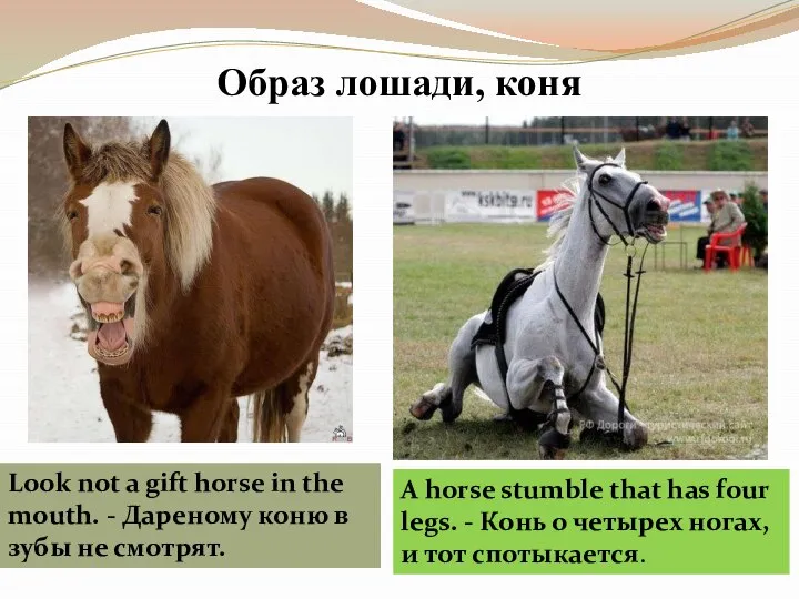 Образ лошади, коня Look not a gift horse in the mouth. -