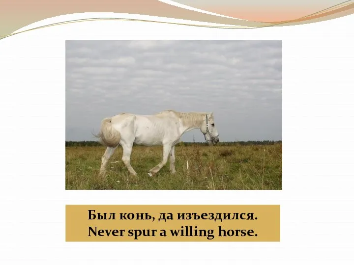 Был конь, да изъездился. Never spur a willing horse.