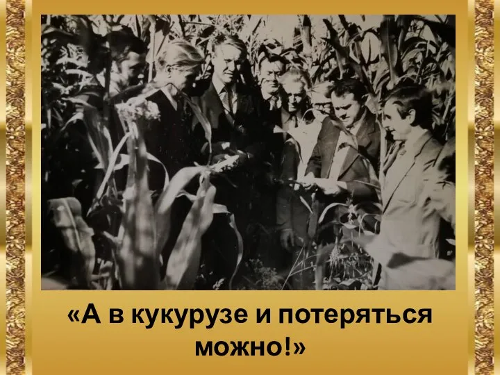 «А в кукурузе и потеряться можно!»