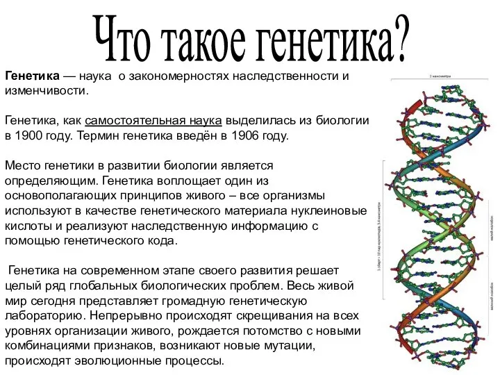 Что такое генетика? Генетика — наука о закономерностях наследственности и изменчивости. Генетика,