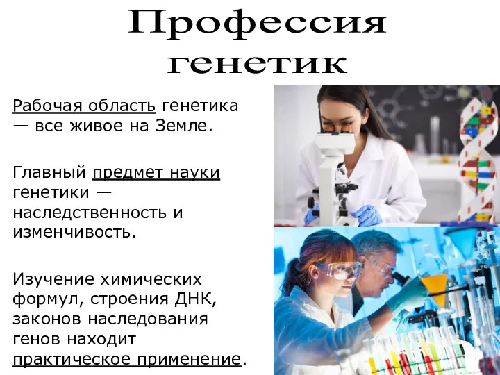 Рабочая область генетика — все живое на Земле. Главный предмет науки генетики