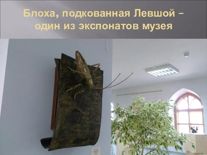 Блоха, подкованная Левшой – один из экспонатов музея