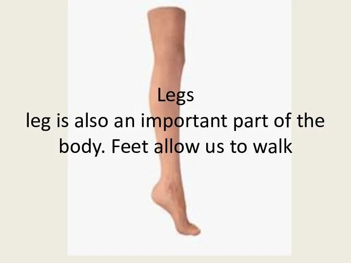 Legs leg is also an important part of the body. Feet allow us to walk