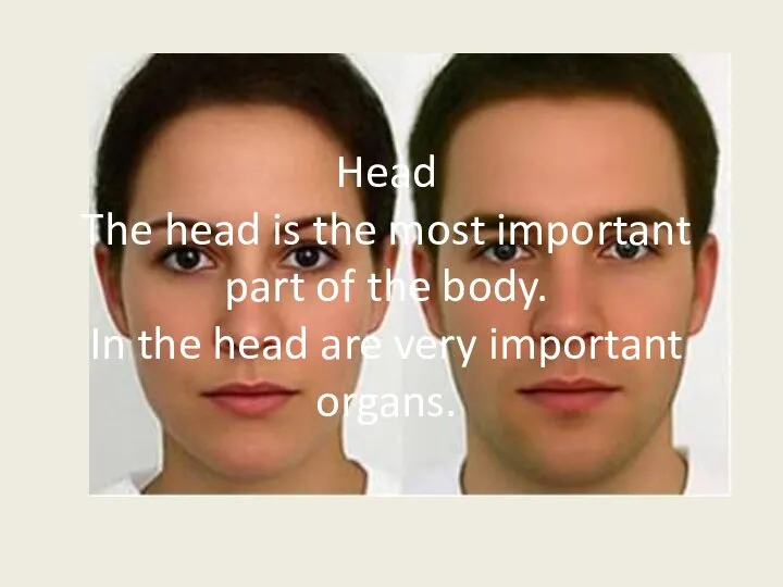 Head The head is the most important part of the body. In