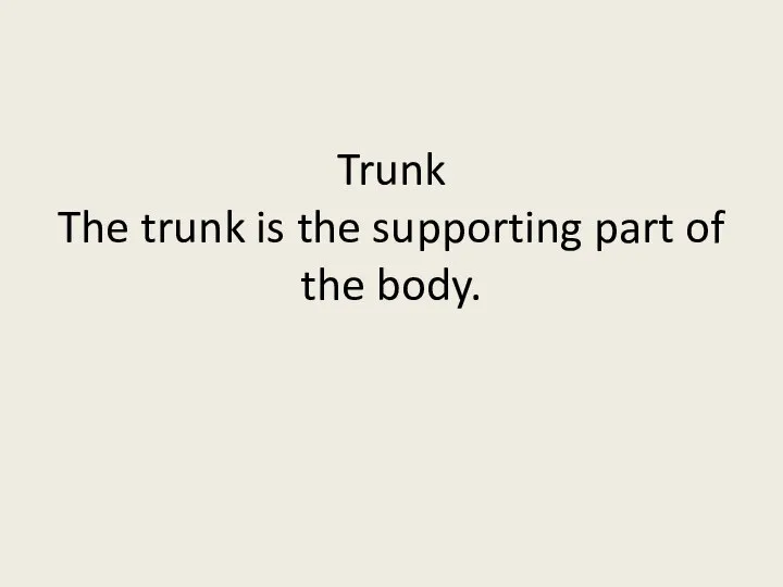 Trunk The trunk is the supporting part of the body.