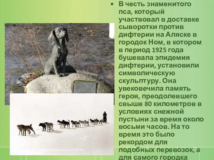 В честь знаменитого пса, который участвовал в доставке сыворотки против дифтерии на