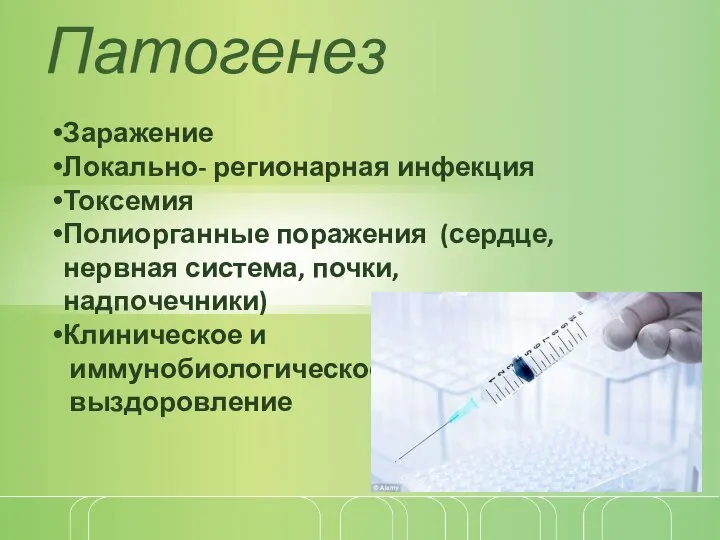 Патогенез Заражение Локально- регионарная инфекция Токсемия Полиорганные поражения (сердце, нервная система, почки,