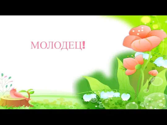 МОЛОДЕЦ!